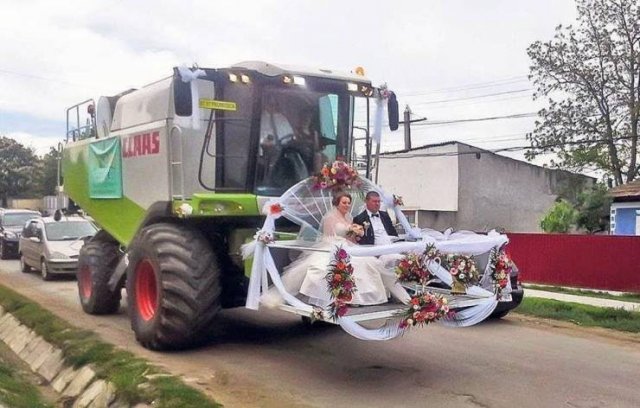 Zabawne Fotki Dnia (25)