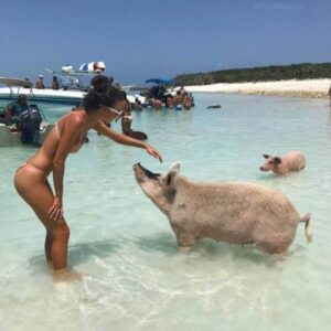 Miłośniczki Zwierząt