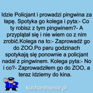 Teraz Idziemy Do Kina