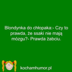 Żabcia
