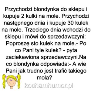 KochamHumor.pl Blondynki 2