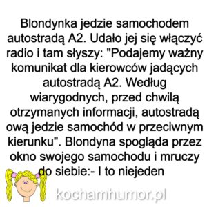 Blondi Na A2