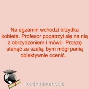Brzydkie Za Szafą