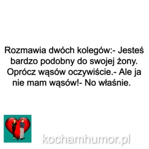 Podobny Do Żony