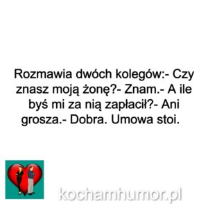 Ile Za Żonę
