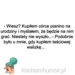 Walizka Dla Teściowej