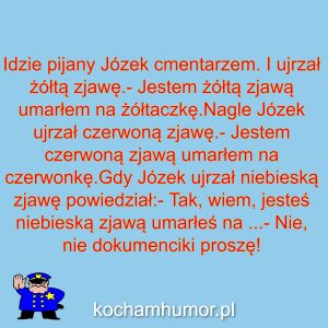 Niebieska Zjawa