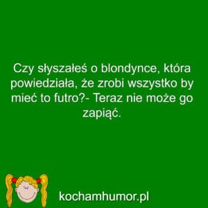 Wszystko Za Futro