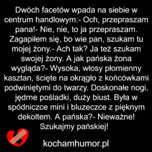 Szukamy Pana Żony