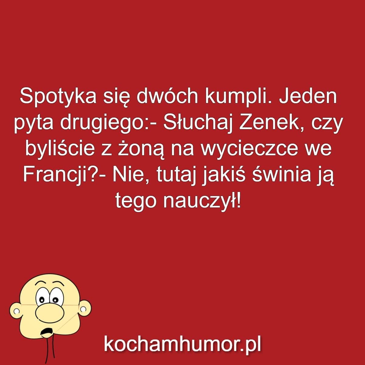 Świntuch Nauczyciel