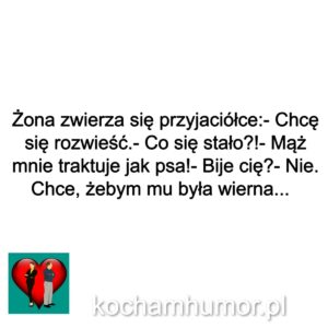 Wierna Jak Pies
