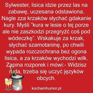 Sylwestrowe Rozkosze