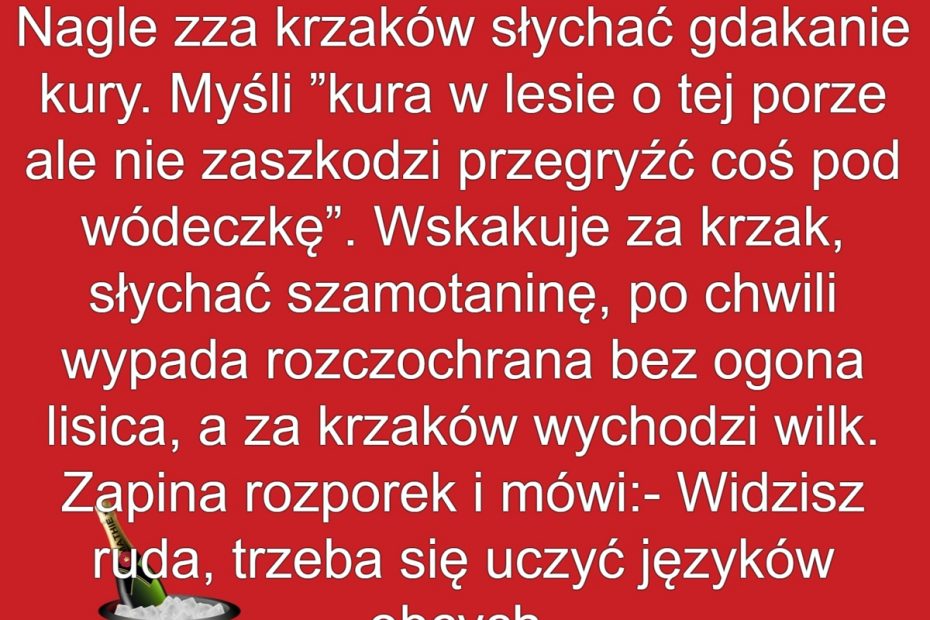 Sylwestrowe Rozkosze