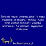 Plusy I Minusy