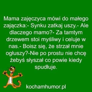 Synku Zatkaj Uszy