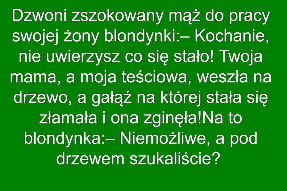 Zaginiona Teściowa