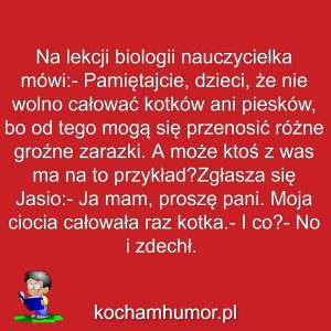 Ciocia I Kotek