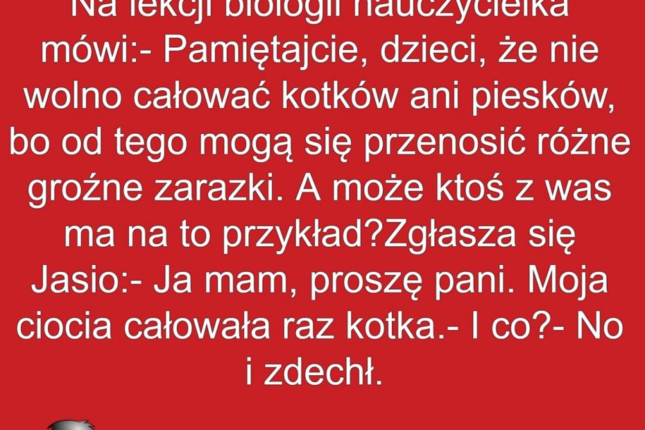 Ciocia I Kotek