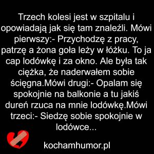 Lodówka