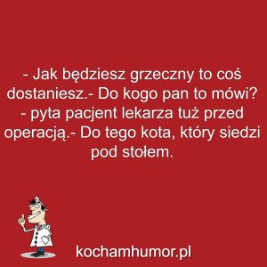 Kotek Doktora