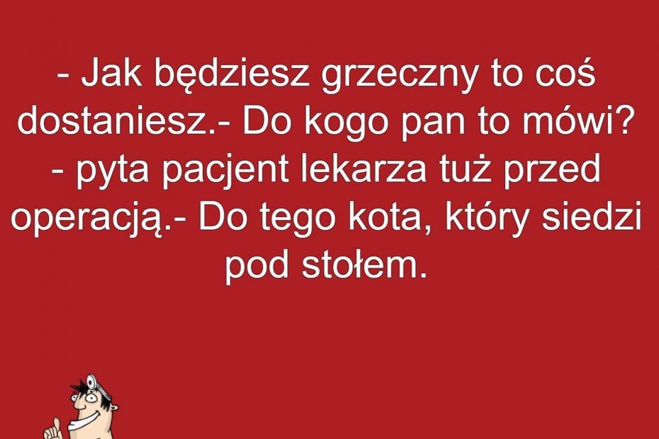 Kotek Doktora