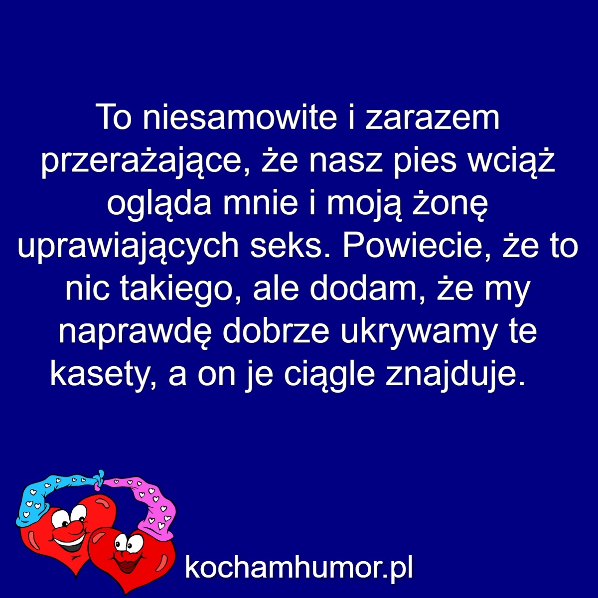 Psi Detektyw