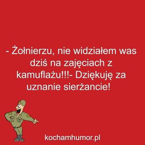 Kamuflaż
