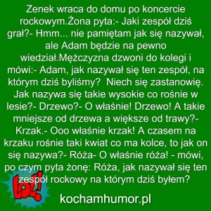 Zenek Słucha Rocka