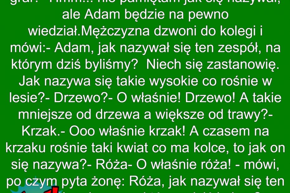 Zenek Słucha Rocka
