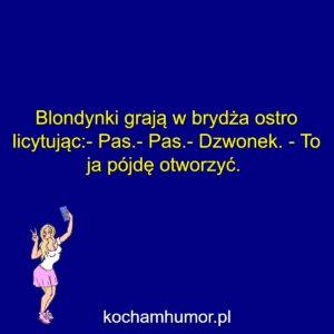 Brydż