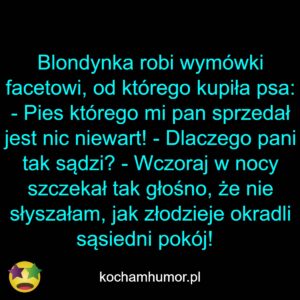 Pieskie Życie Blondynki