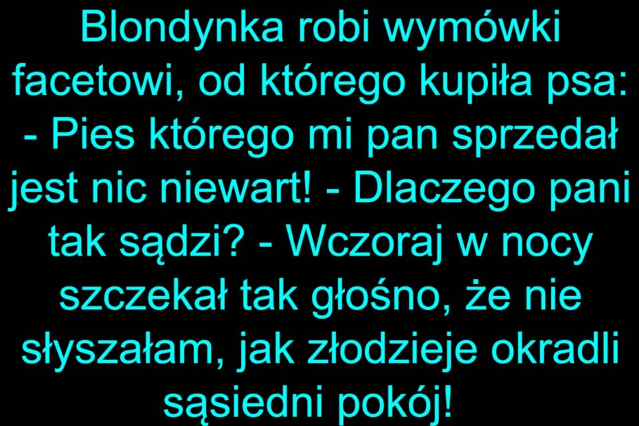 Pieskie Życie Blondynki