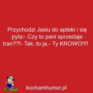 Krowa