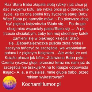 Kotek