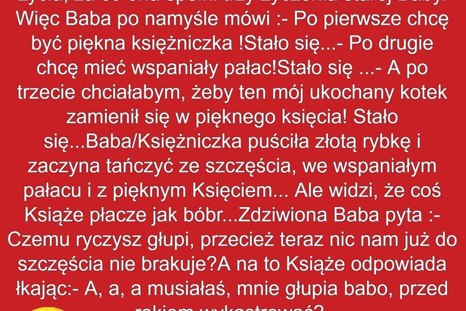 Kotek