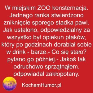 Zawodowiec