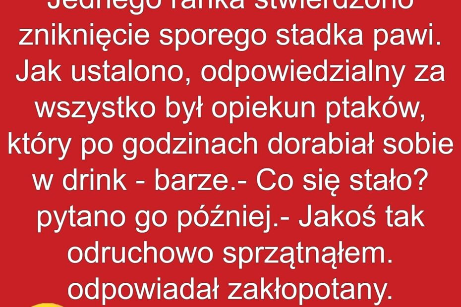 Zawodowiec