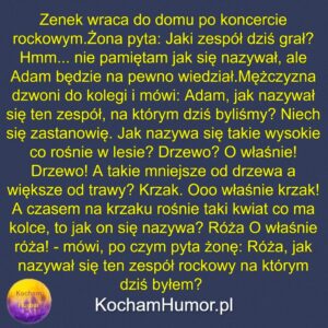 Zenek Słucha Rocka