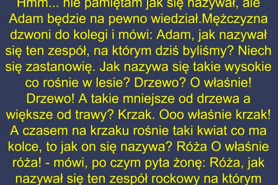 Zenek Słucha Rocka