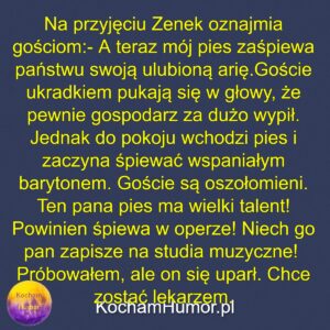 Muzykalny Pies Zenka