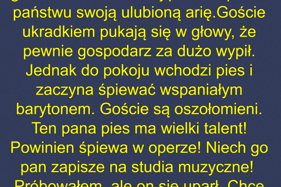 Muzykalny Pies Zenka