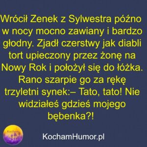 Zenek Wraca Z Sylwestra