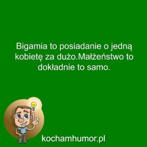 Wady Wielożeństwa
