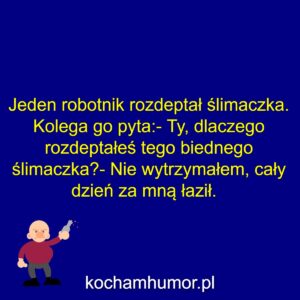 Ślimaczek
