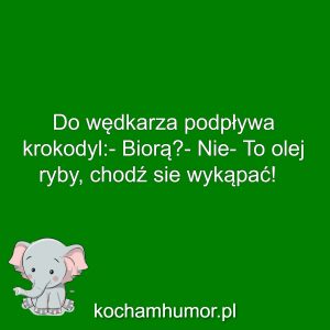 Olej