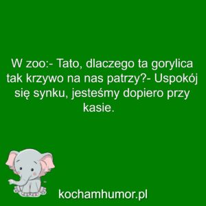 Gorylica Przy Kasie