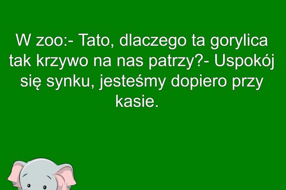 Gorylica Przy Kasie