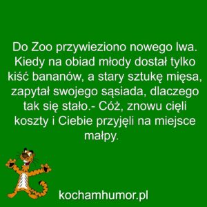 Nowy