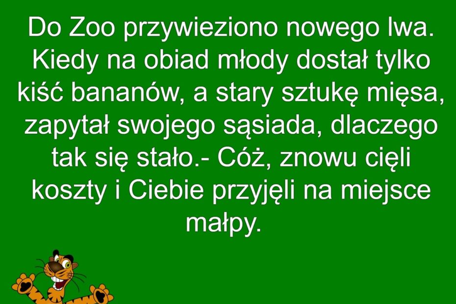 Nowy