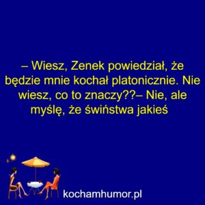 Platoniczne Świństwa